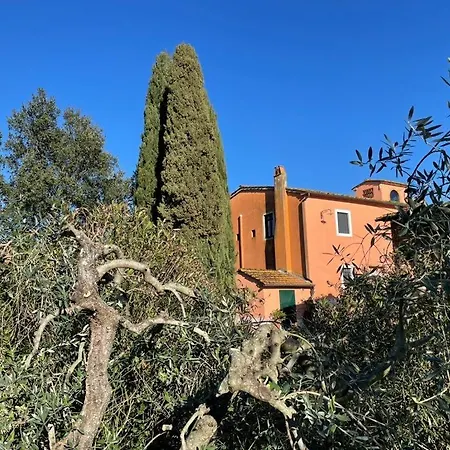 Podere Marchiano Larciano