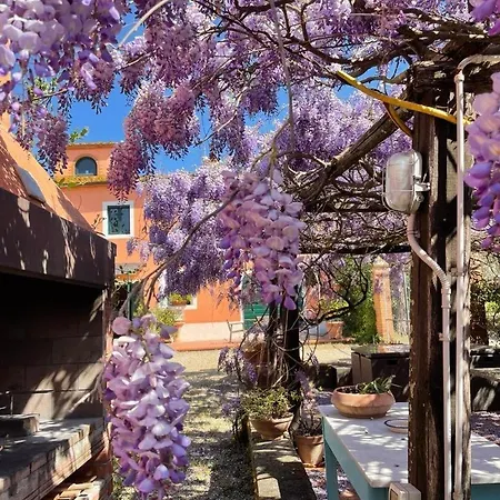 Podere Marchiano Larciano