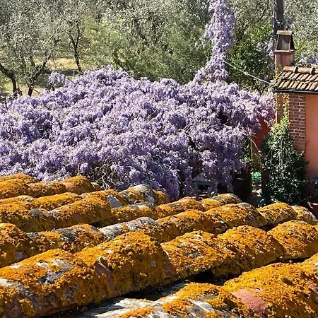 Podere Marchiano Larciano