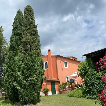 Podere Marchiano *