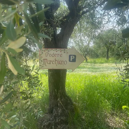 Podere Marchiano
