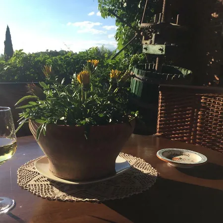 Podere Marchiano *